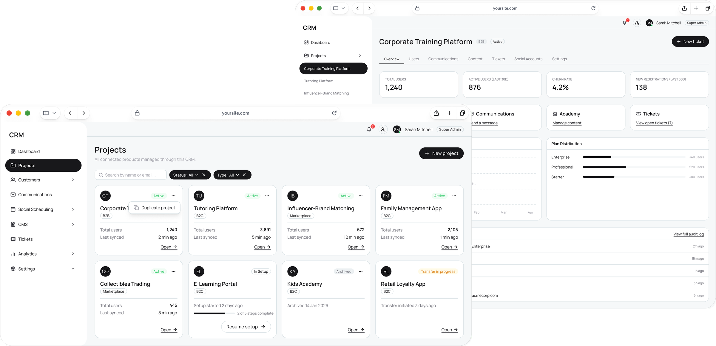 Master CRM: all projects list and the overview of one project